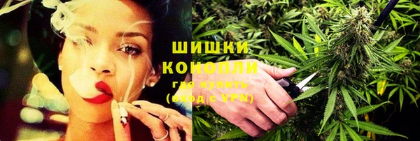 ешки Гатчина